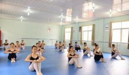 独家爆料艺术学校极品舞蹈生,揭秘艺术学校极品舞蹈生的传奇故事